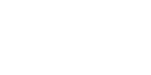 Beeline White Logo 300x150